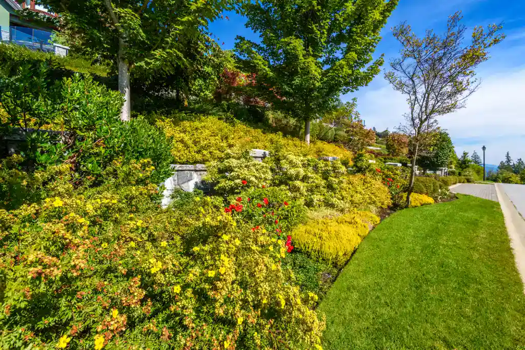 Stone Fence With Green Lawn And Landscape 2026 01 11 10 23 09 Utc