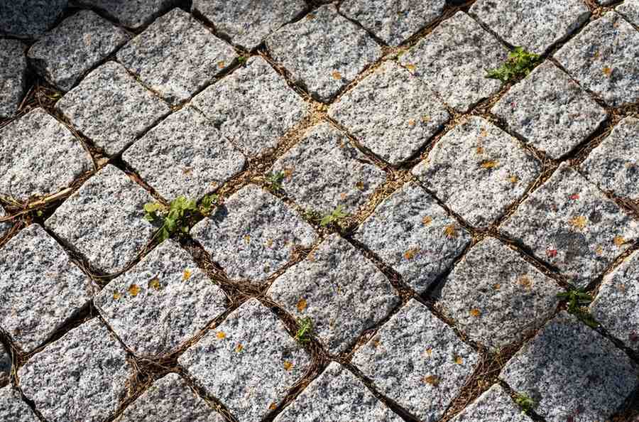 Hardscaping in Castro Valley, CA