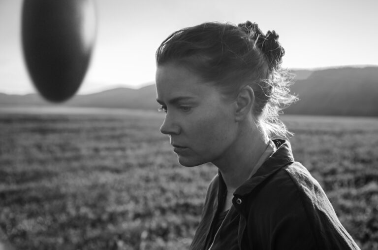 mozi.kert • Érkezés