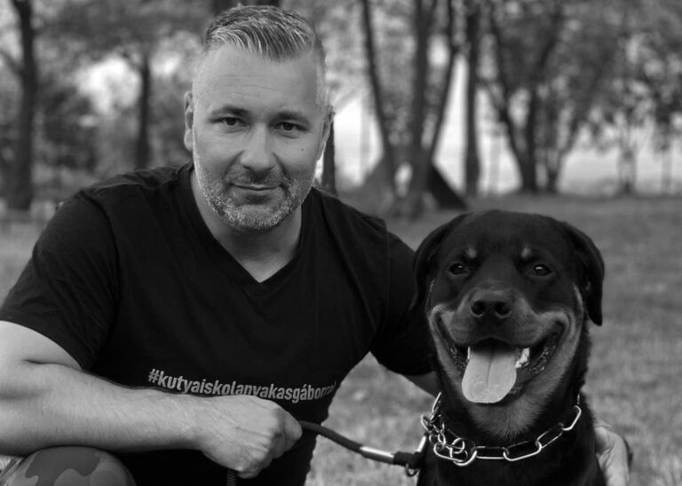 Karácsonyi kutyareform