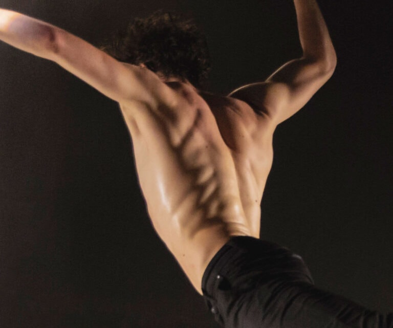 DanceLab – A meztelen majom