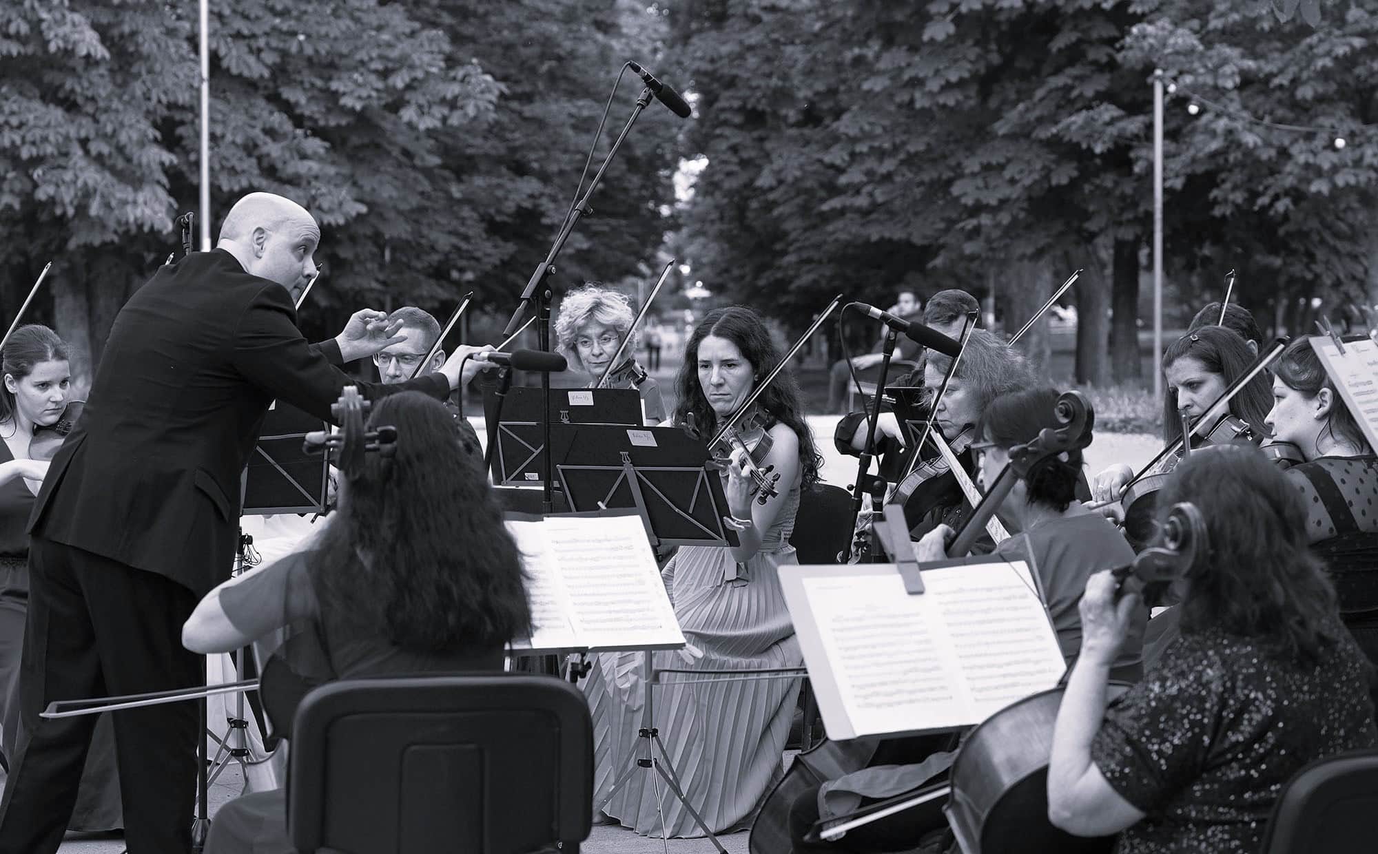 Növendéktől a művészig