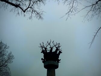 A szarvassá válás mítosza