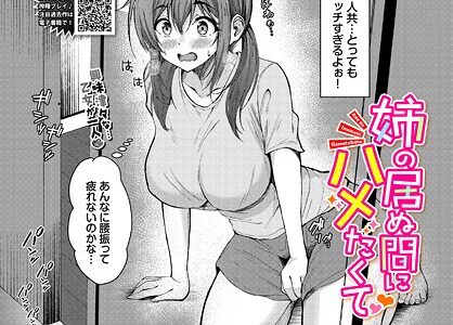 姉の居ぬ間にハメたくて
