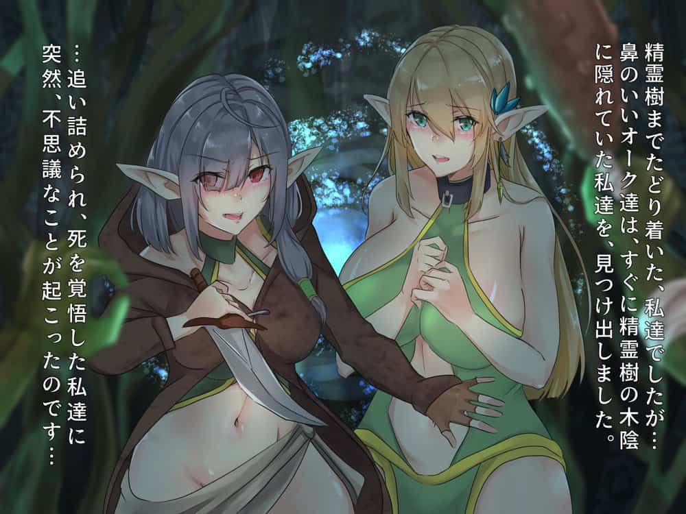 僕は性奴●としてエルフを飼っています。