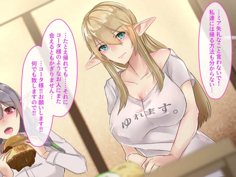 僕は性奴●としてエルフを飼っています。