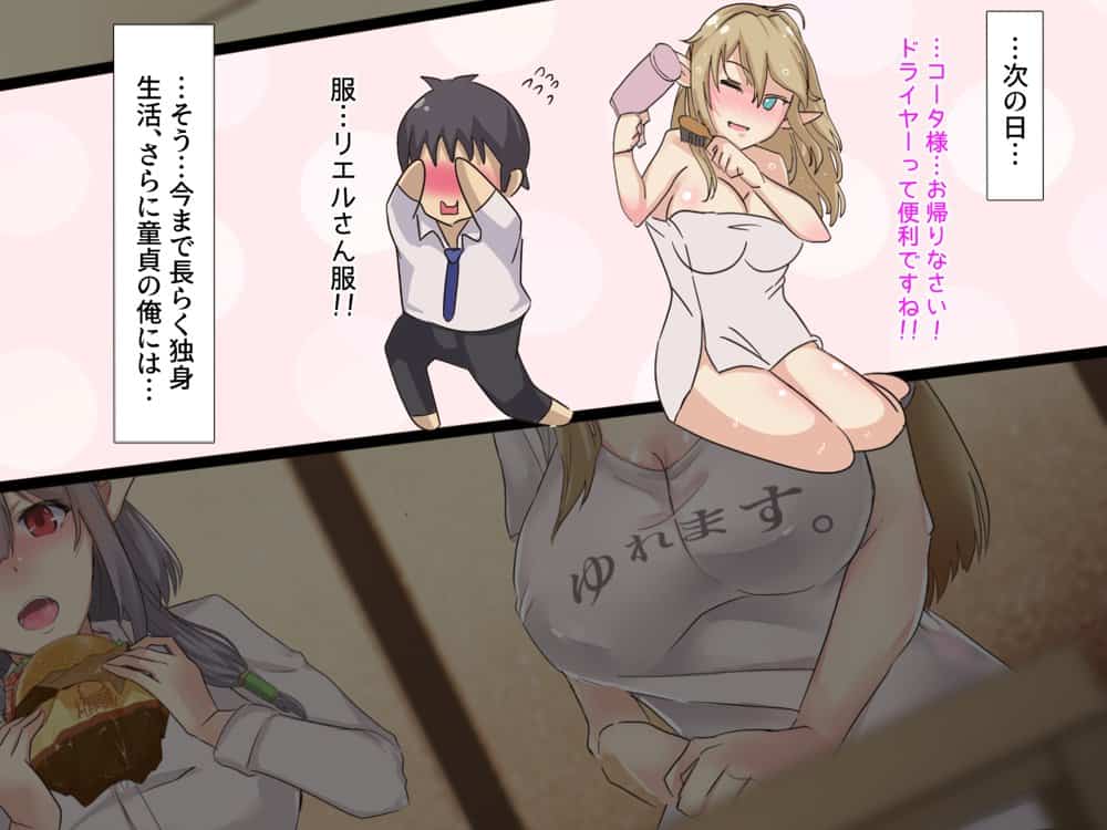 僕は性奴●としてエルフを飼っています。