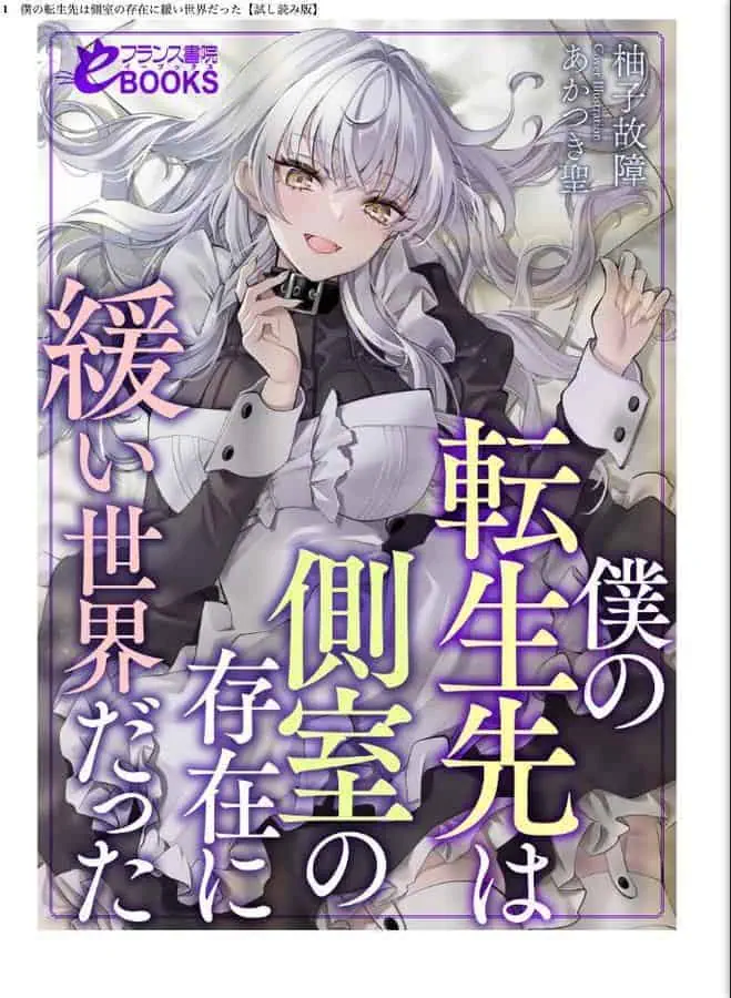 僕の転生先は側室の存在に緩い世界だった