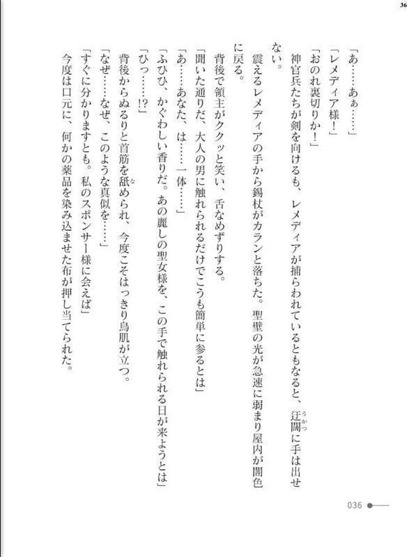 淫獄の聖女 〜魔を宿す胎〜