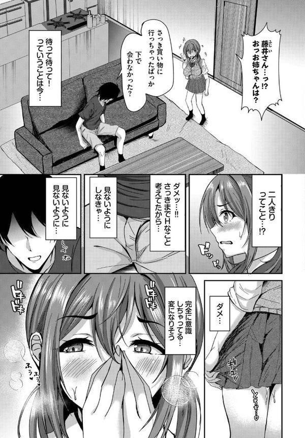 姉の居ぬ間にハメたくて