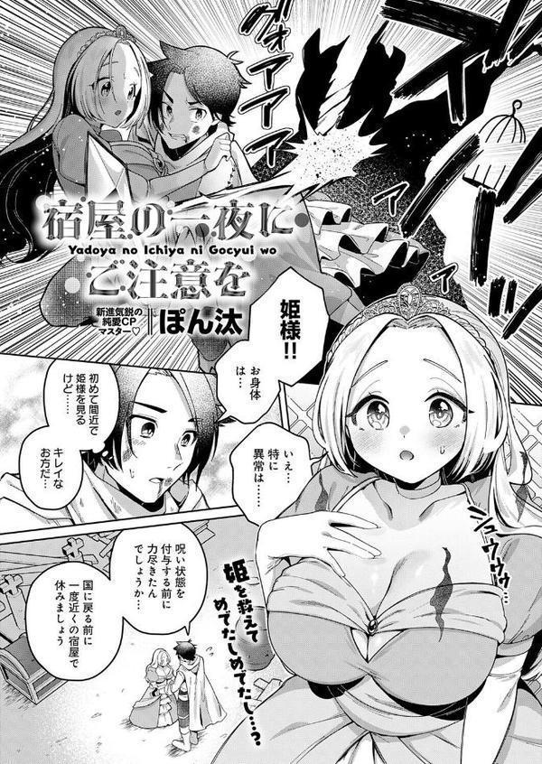 宿屋の一夜にご注意を