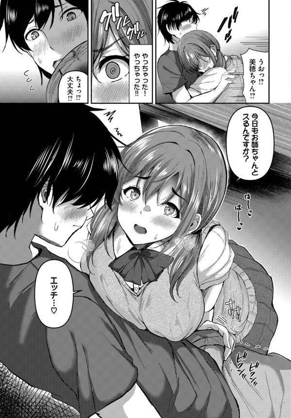 姉の居ぬ間にハメたくて