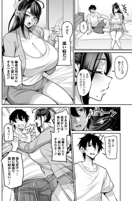 義姉さんはママになりたい