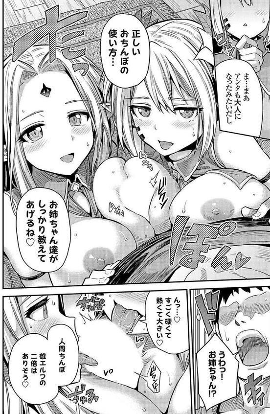 ヤろう系ファンタジー ボテハラクエスト2 エルフ姉妹と孕ませの森