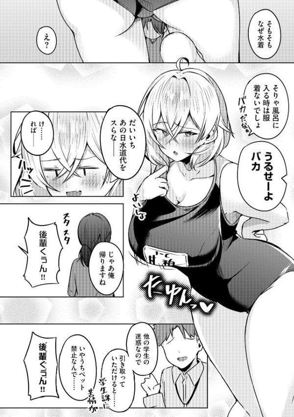 ゆきずり淫てんしょん!! 〜巨乳先輩もおっぱい姫もわからせる!?〜【FANZA特典&かきおろし漫画付】