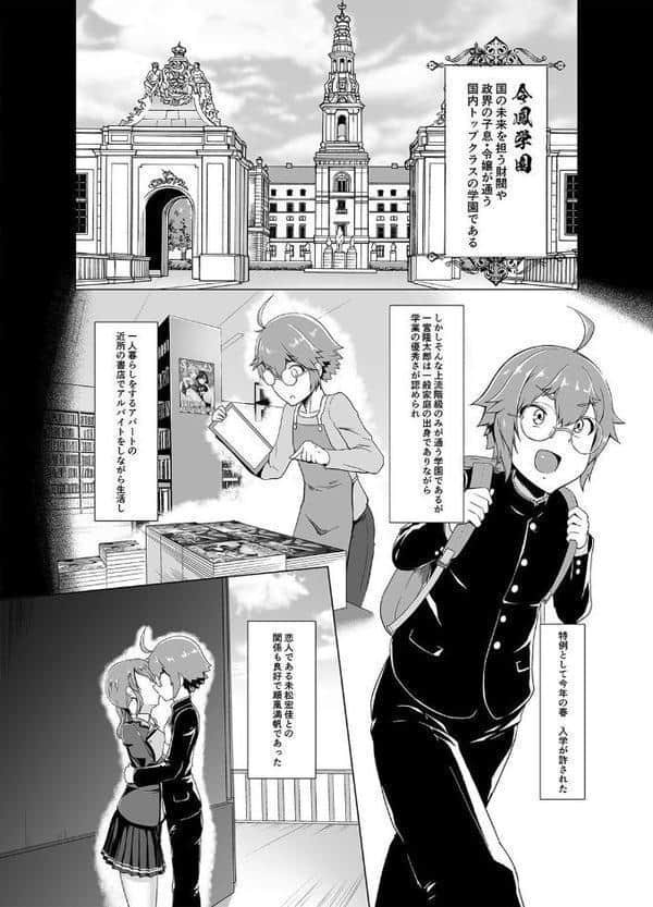 お嬢様の淫らな戯れ(1)