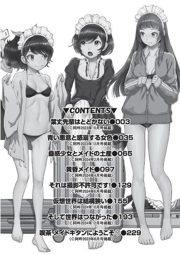 コスプレメイドがいかがわしい