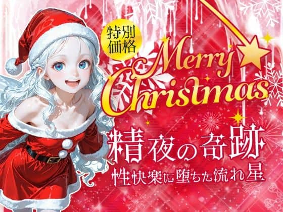 Merry Christmas  精夜の奇跡