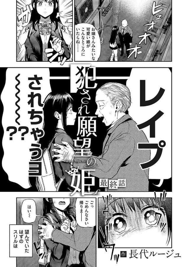犯●れ願望の姫 最終話