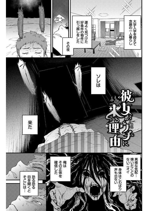 見せるは恥だが気持ちいい【デジタル特装版】【FANZA限定版】