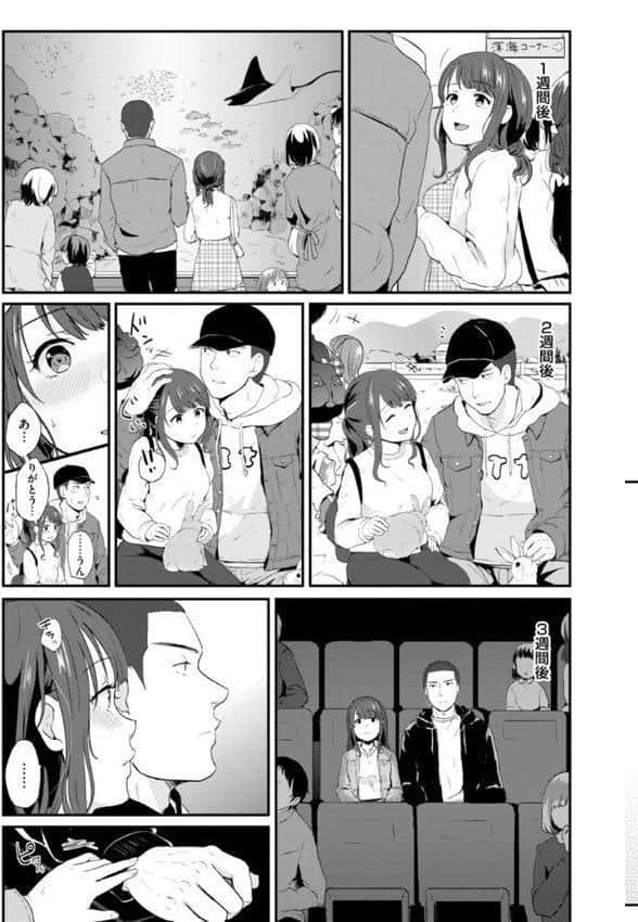 ネツアイプログレス