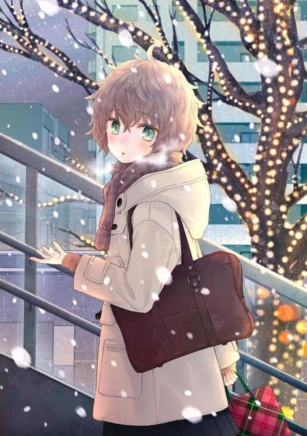 ノラネコ少女との暮らしかた第8集【合本版】