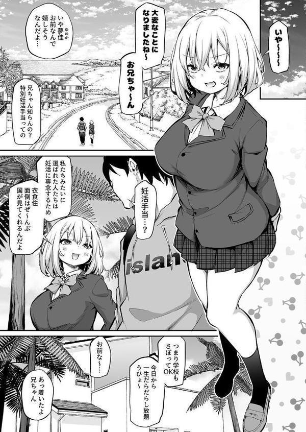 妹と子作りしないと出られない島(1) hitomiエロ漫画raw(同人誌)無料サンプル画像005