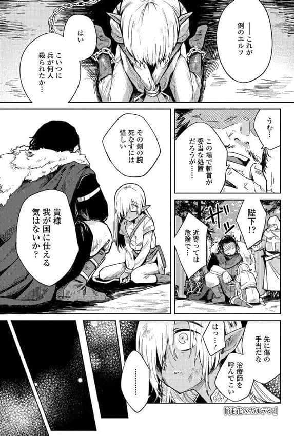 徒花のガルデン【FANZA限定特典付き】