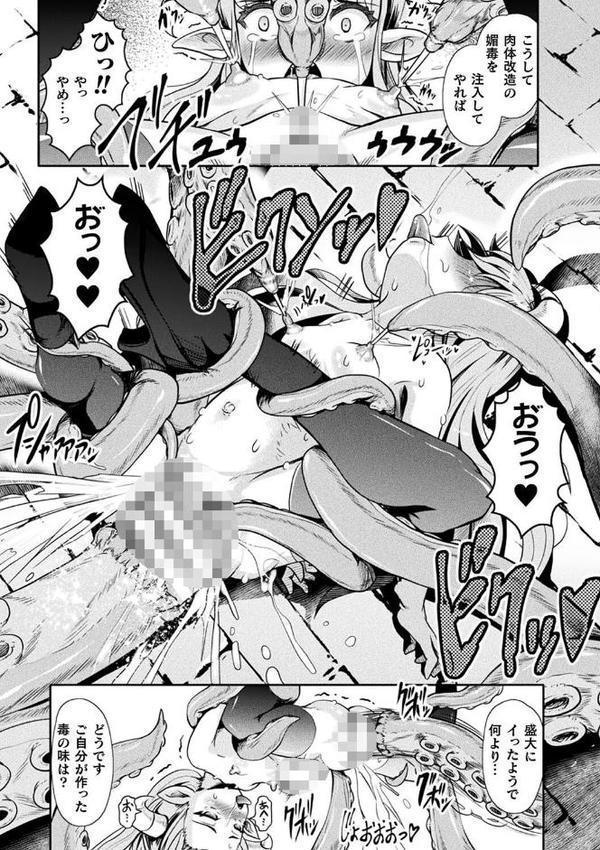 敗蝕 〜異世界堕淫録〜