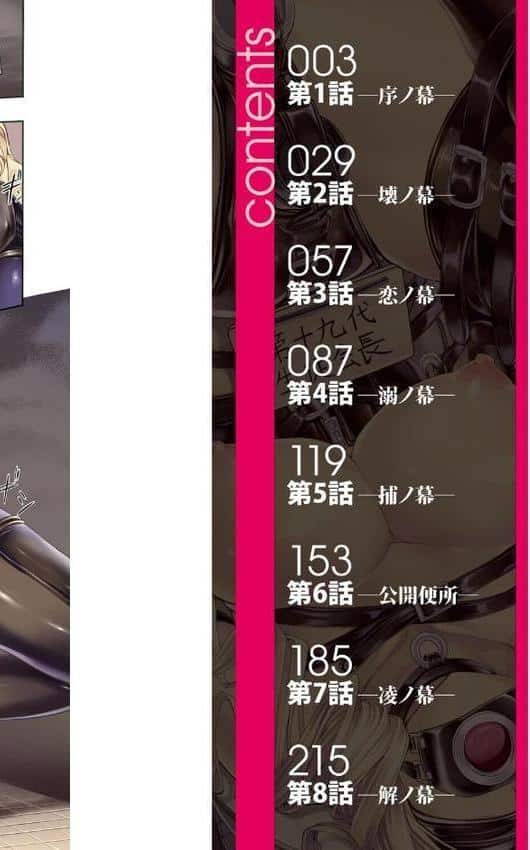 公開便所【ハイグレード版】