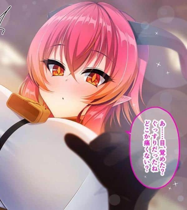 異種族パラダイス！〜異文化交流は甘々SEXとともに〜【CG集コレクション】 モザイク版