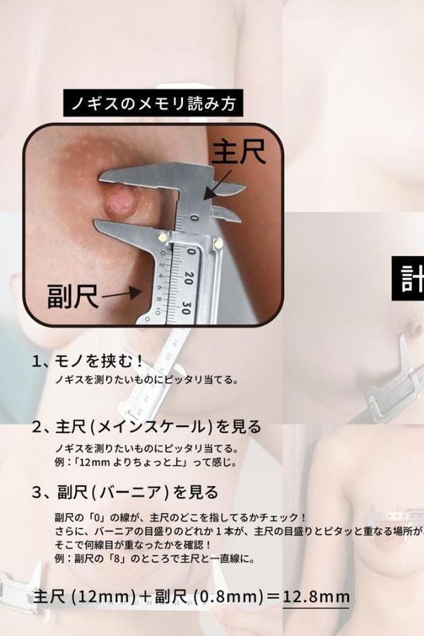 WELCOME TO ノギスパーク！！