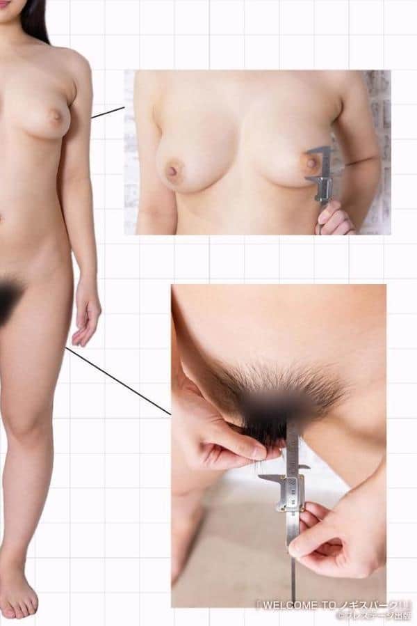 WELCOME TO ノギスパーク！！