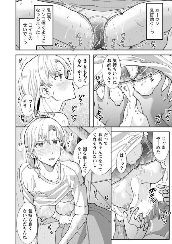 僕だけが知ってる姉ちゃんのメス顔【通常版】