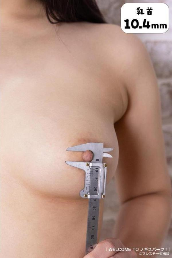 WELCOME TO ノギスパーク！！