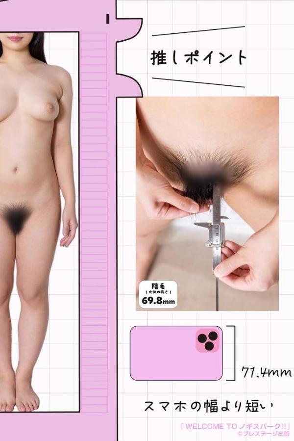 WELCOME TO ノギスパーク！！