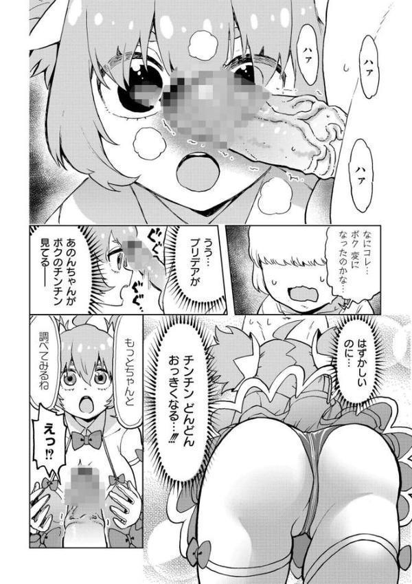 ボクの愛したプリデア