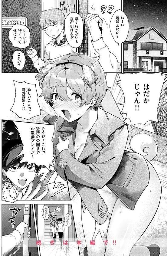 杏ちゃんドッグラン