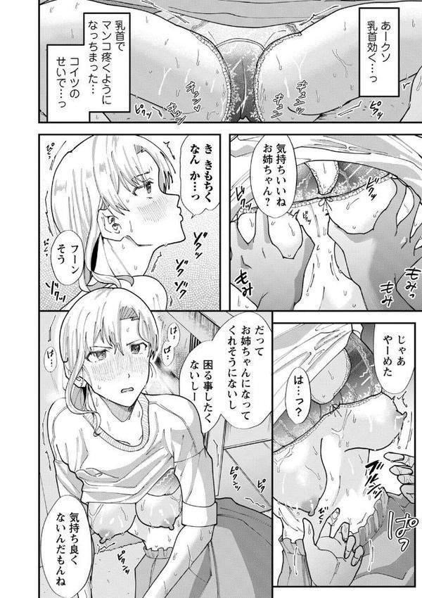 僕だけが知ってる姉ちゃんのメス顔【デジタル特装版】