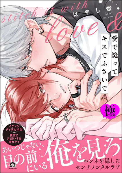愛で縫ってキスでふさいで【極】 【電子限定かきおろし漫画2P付】