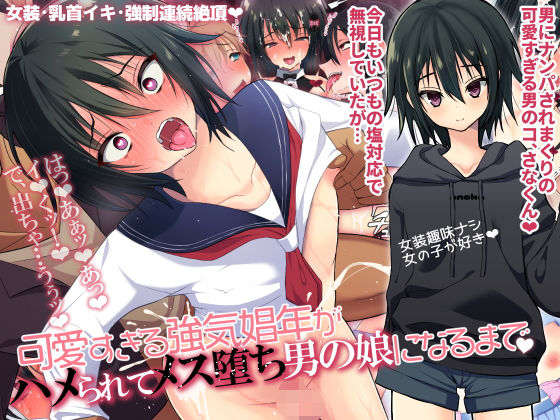 可愛すぎる強気娼年がハメられてメス堕ち男の娘になるまで