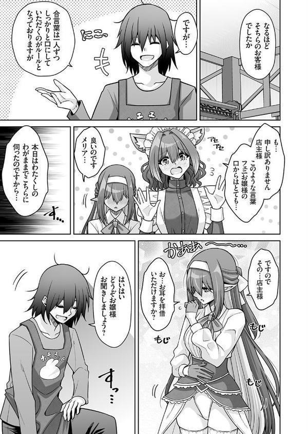 サキュバス令嬢御用達！！ 多種族の性癖を叶える異世界（大人の）玩具屋