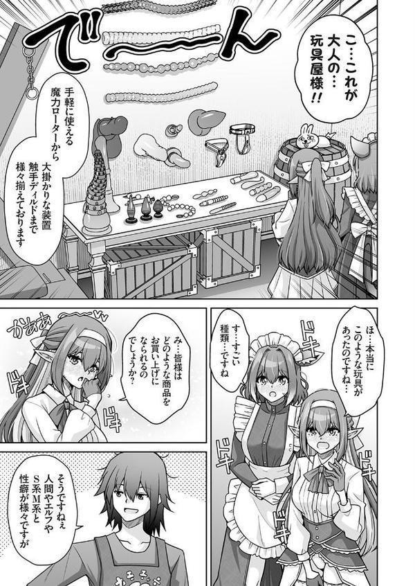 サキュバス令嬢御用達！！ 多種族の性癖を叶える異世界（大人の）玩具屋