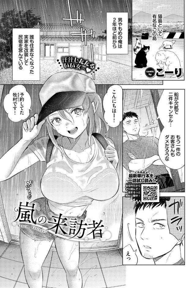 嵐の来訪者 hitomiエロ漫画raw(同人誌)無料サンプル画像001