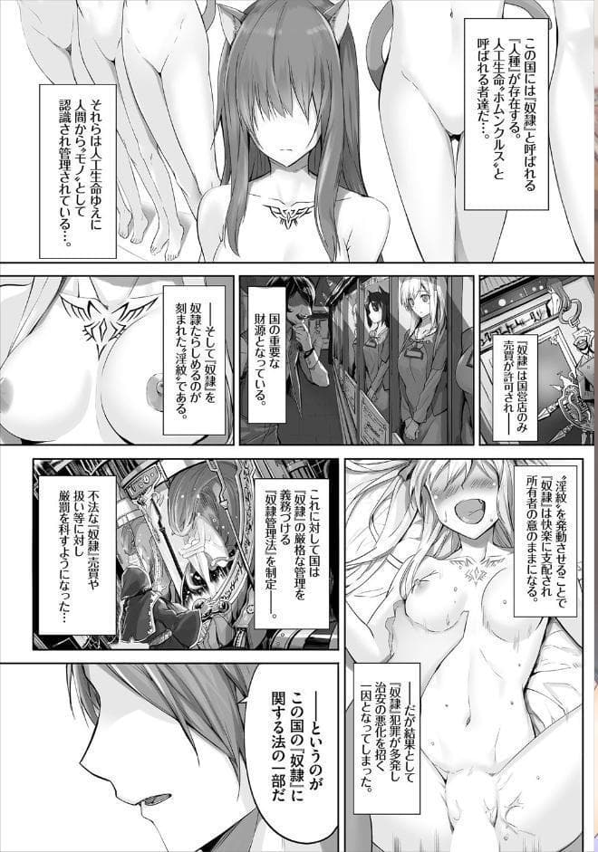 愚か者は猫耳奴●に依存する〜初めての調教生活〜合本版 1 hitomiエロ漫画raw(同人誌)無料サンプル画像003