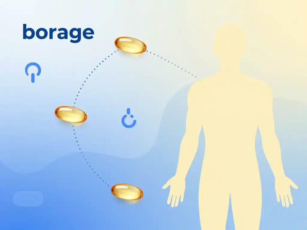 Diagramme capsule huile de bourrache et prise de poids énergie