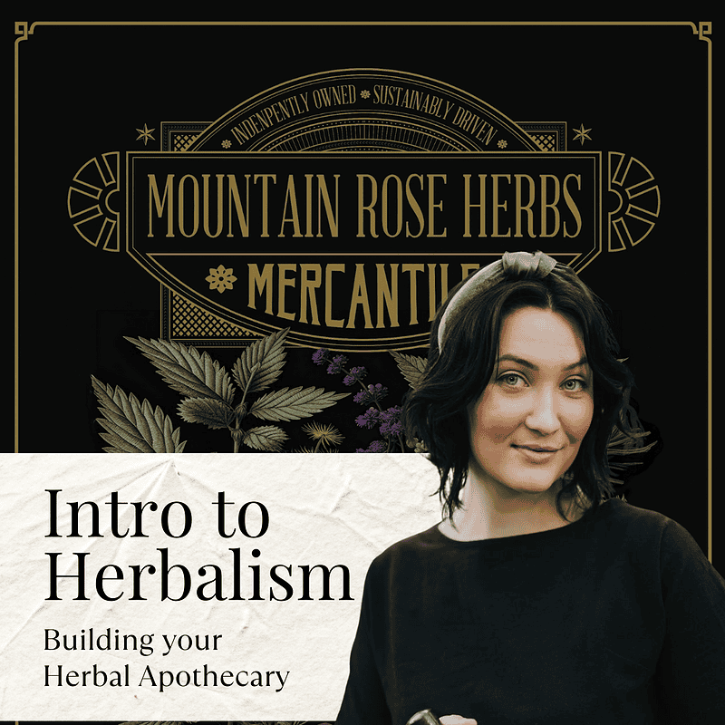 Herbal medicine Woman grinding herbs in mortar and pestle for herbal therapy.