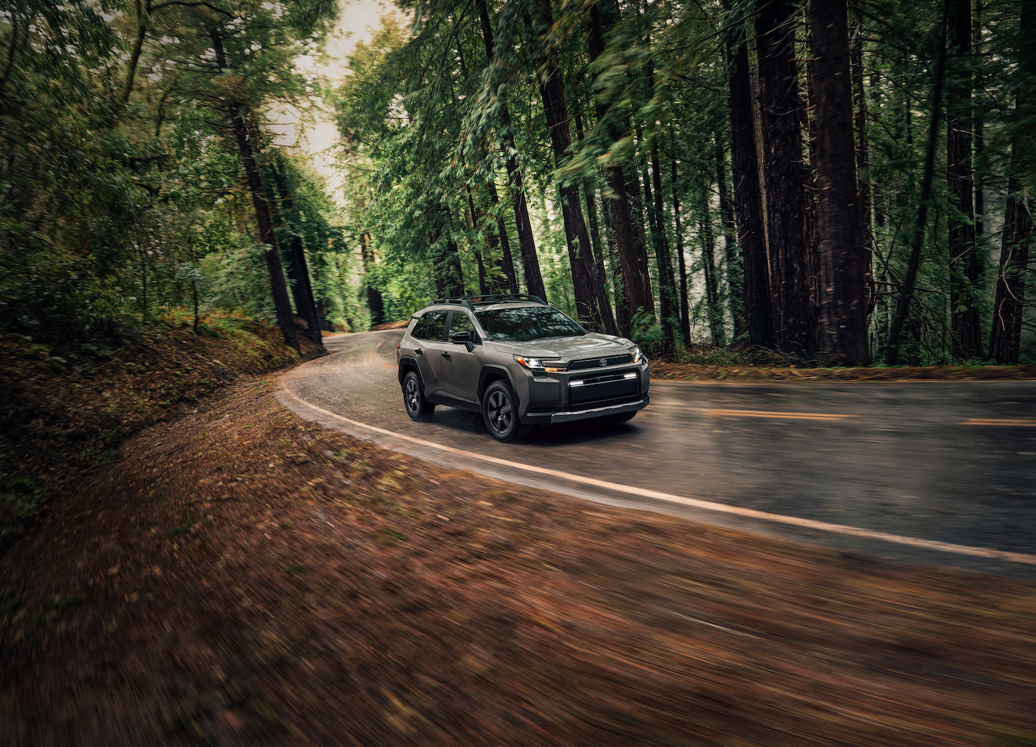 2026-Toyota-RAV4_Woodland_0011
