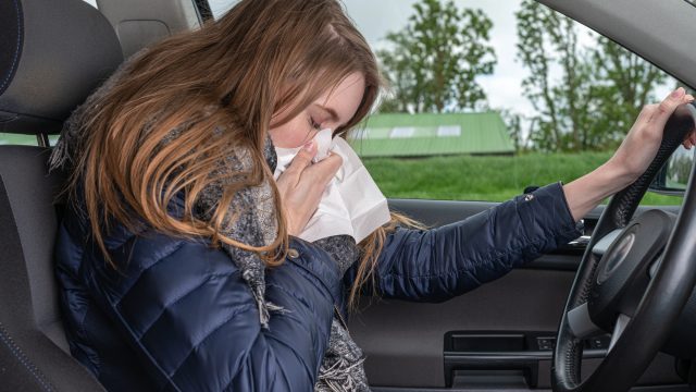 A young woman with an allergy sneezes while driving car in a handkerchief
