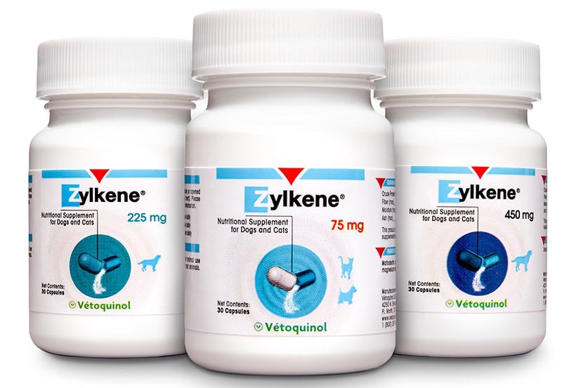 Three bottles of Zylkene nutritional supplement for dogs and cats on a plain background, labeled with varying dosages, vet-recommended.